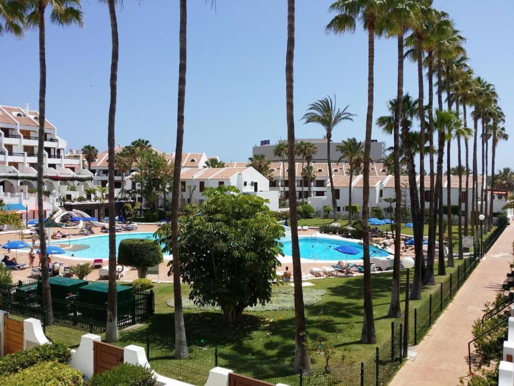Estudio En Tenerife Sur, Parque Santiago 2 Arona  Εξωτερικό φωτογραφία